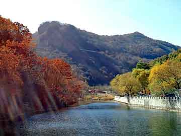 澳门二四六天天彩图库，泛目录权重